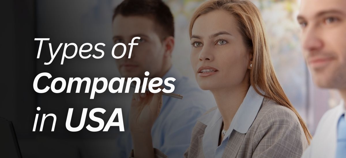 Types of Companies in USA